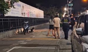 生日遛狗變惡夢！屏東女與柴犬雙雙被咬　惡霸犬去年也曾咬傷狗