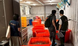 工業雙氧水豬大腸流向！屏東攤商曾進貨180公斤　已全數賣出