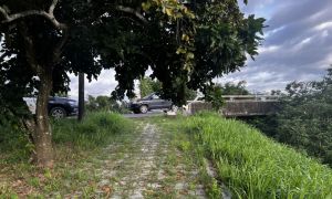 屏東高樹廣福大橋老翁倒臥堤防　發現時已明顯身亡