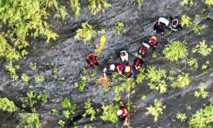 屏東霧台迴旋谷溪水暴漲　9人受困河床高處驚險獲救