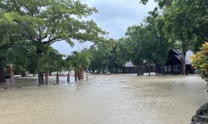 楊柳颱風挾雨襲屏東！傳19人困小木屋　業者:積水換房非受困