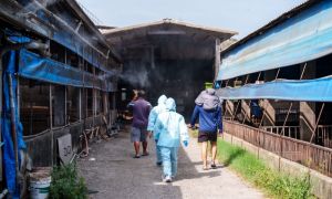 羅智強轟屏東防疫僅查7%　縣府怒批潑髒水「已完成230場次」