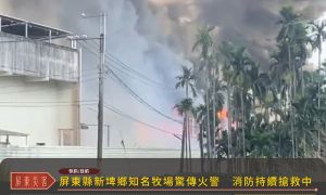 屏東縣新埤鄉知名牧場驚傳火警　消防持續搶救中