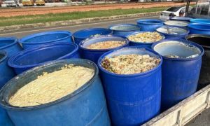 屏東縣全面禁止外縣市廚餘進入！縣內未瀝乾含水量高也不收