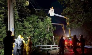 楊柳颱風襲屏東！台電動員188人搶修　1萬6千戶已復電9成9