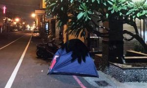 屏東市區街頭深夜出現露營帳篷?  原來是為了排隊搶這個