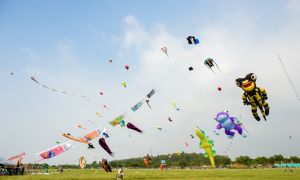 屏東國際風箏節別錯過  週末將移師東港大鵬灣