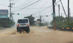 0823豪雨災情∥屏東科技大學外道路淹水 請注意安全