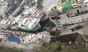 誰將垃圾丟往碼頭？ 東港漁港碼頭堆滿垃圾