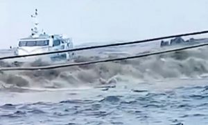 影／東港港口海浪超大 交通船一度無法靠岸 民眾「根本坐海盜船」