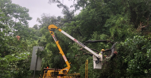 杜蘇芮颱風》屏東累計約10,936餘戶停電　台電積極搶修中