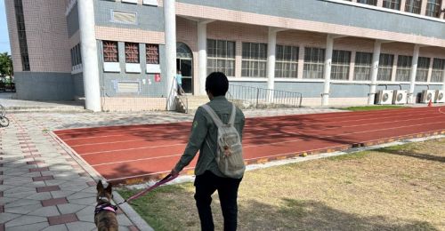 屏東動保新制上路！遛狗未繫繩、持有獸鋏最高罰1萬5千元