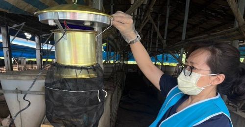 屏東縣新增2例日本腦炎病例！生活地區皆屬高風險環境