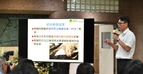 臺中養豬場傳出疑似非洲豬瘟案例！農業部啟動全國禁運禁宰5天