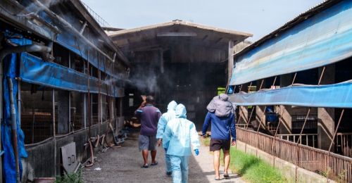 羅智強轟屏東防疫僅查7%　縣府怒批潑髒水「已完成230場次」