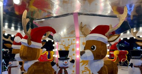 屏東聖誕節浪漫試燈！公園夢幻燈海搶先亮相 11/28正式登場