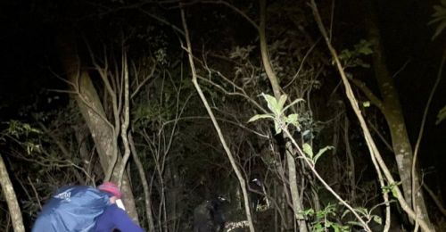 前往屏東霧台訪友！5人誤食植物出現不適　消防連夜入山救援