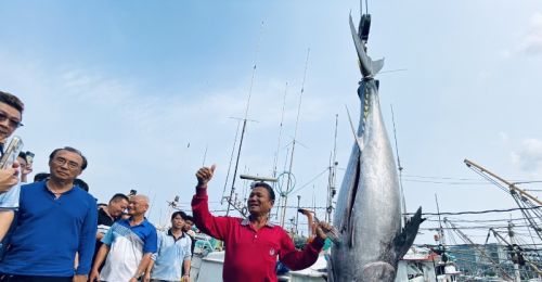 屏東第一鮪報到！「富漁慶2號」67歲老船長奪頭采　4/8東港魚市場拍賣